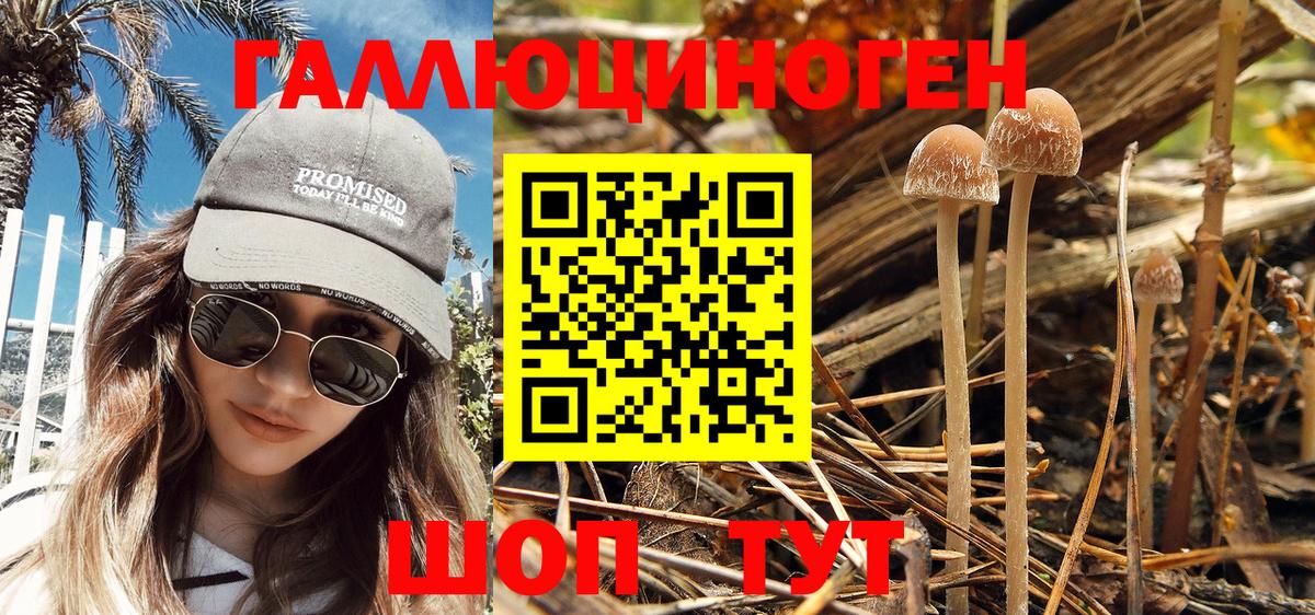 Галлюциногенные грибы MAGIC MUSHROOMS Сертолово