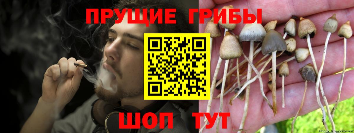 Сертолово  Галлюциногенные грибы Cubensis  Вход с VPN  Псилоцибиновые грибы Magic Shrooms 
